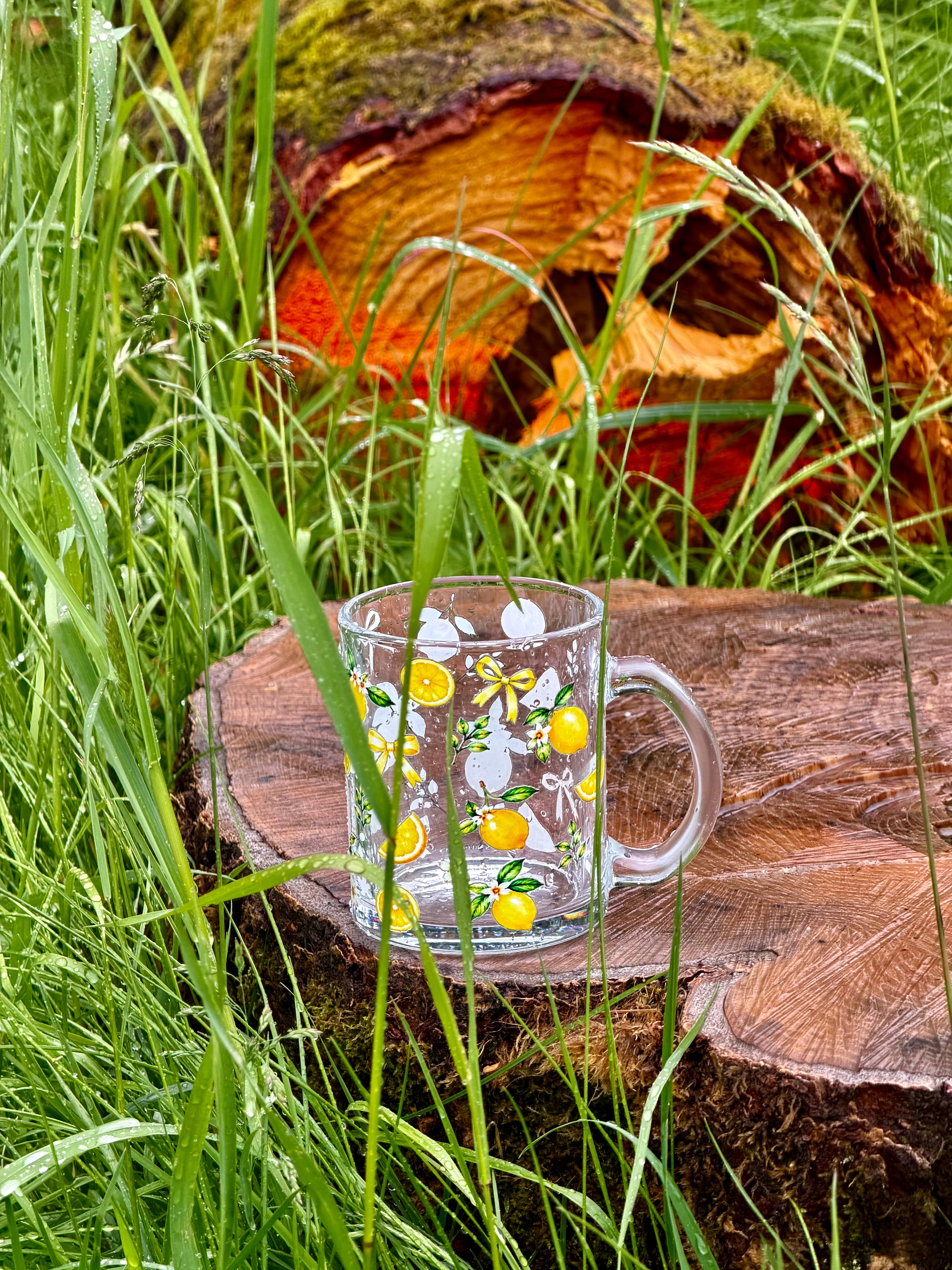 Wild Lemon Duo Set
Glasskopp + Tumbler – Glasskopp med bambuslokk og glassugerør